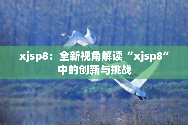 xjsp8：全新视角解读“xjsp8”中的创新与挑战