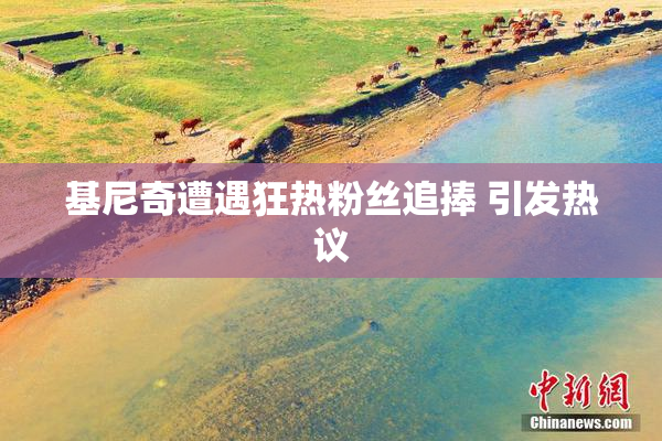 基尼奇遭遇狂热粉丝追捧 引发热议