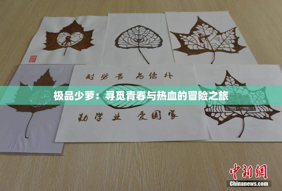 极品少萝：寻觅青春与热血的冒险之旅