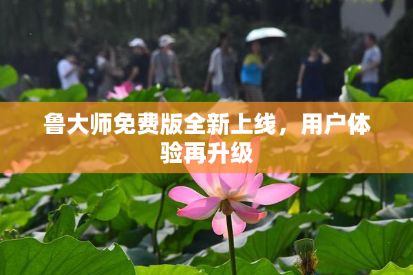 鲁大师免费版全新上线，用户体验再升级