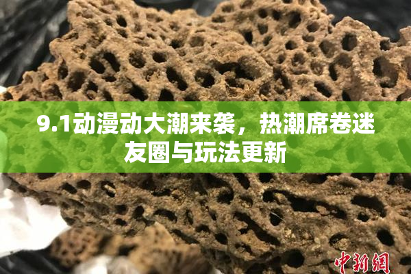 9.1动漫动大潮来袭，热潮席卷迷友圈与玩法更新