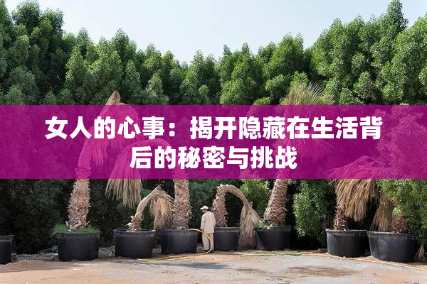 女人的心事：揭开隐藏在生活背后的秘密与挑战