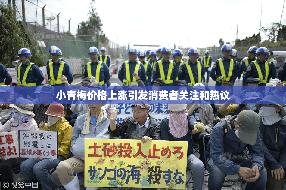小青梅价格上涨引发消费者关注和热议