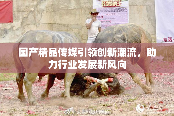 国产精品传媒引领创新潮流，助力行业发展新风向