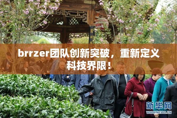 brrzer团队创新突破，重新定义科技界限！