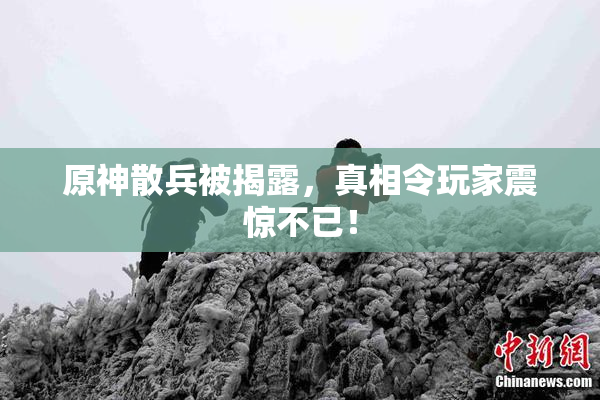 原神散兵被揭露，真相令玩家震惊不已！