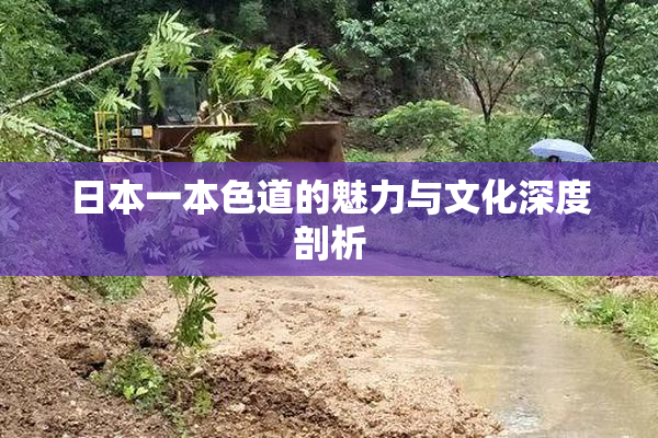 日本一本色道的魅力与文化深度剖析