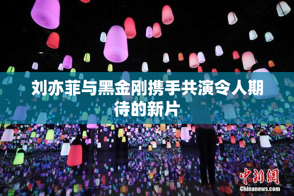 刘亦菲与黑金刚携手共演令人期待的新片