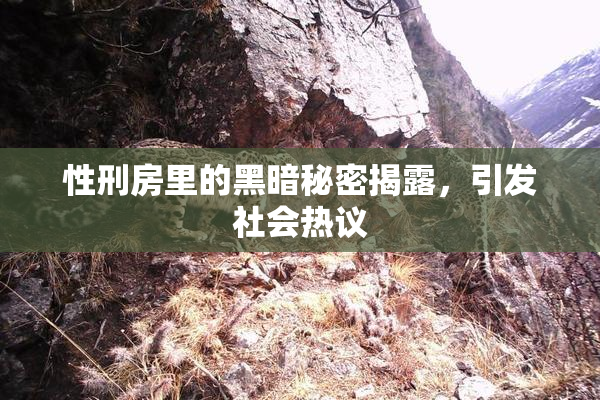 性刑房里的黑暗秘密揭露，引发社会热议