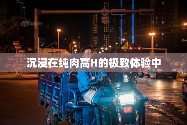 沉浸在纯肉高H的极致体验中
