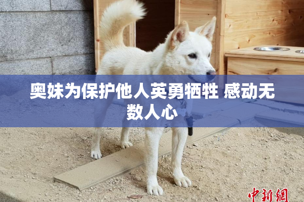 奥妹为保护他人英勇牺牲 感动无数人心