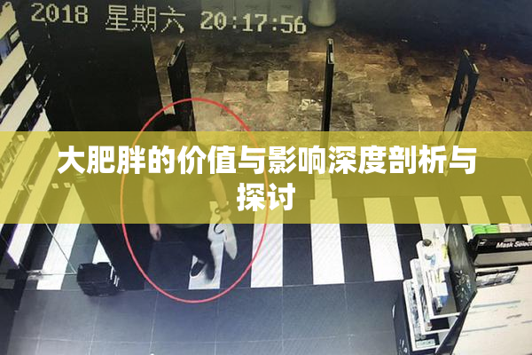 大肥胖的价值与影响深度剖析与探讨