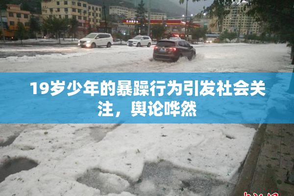 19岁少年的暴躁行为引发社会关注，舆论哗然