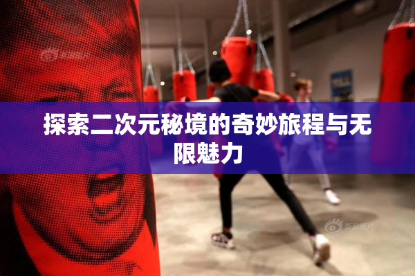 探索二次元秘境的奇妙旅程与无限魅力
