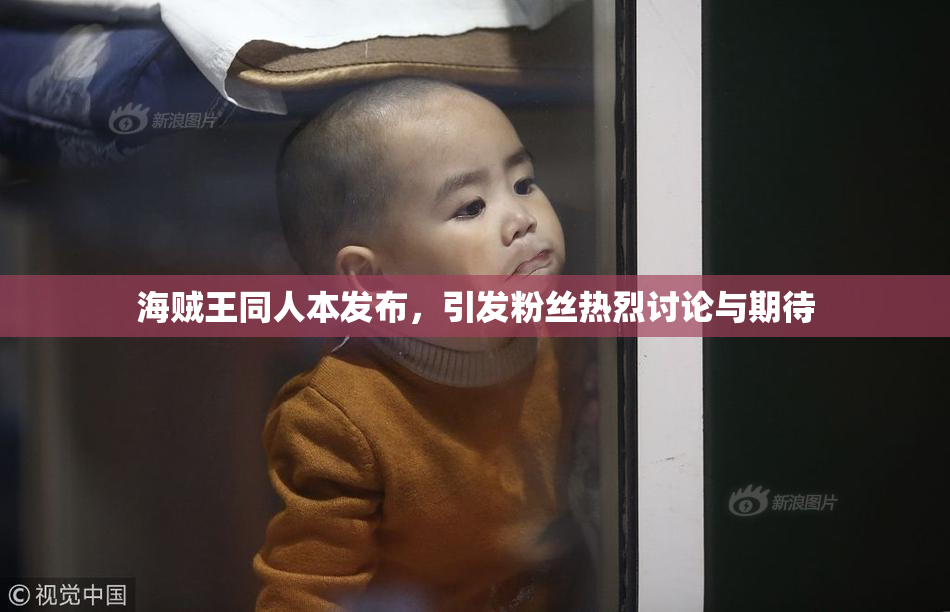 海贼王同人本发布，引发粉丝热烈讨论与期待
