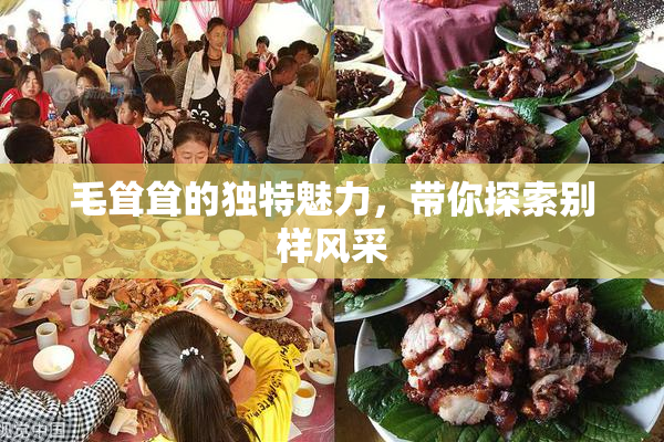 毛耸耸的独特魅力，带你探索别样风采