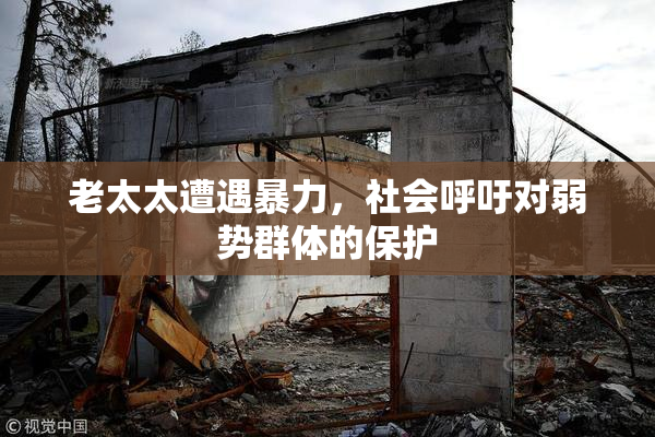 老太太遭遇暴力，社会呼吁对弱势群体的保护