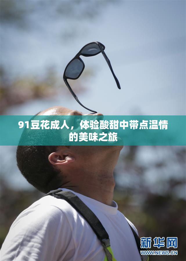 91豆花成人，体验酸甜中带点温情的美味之旅