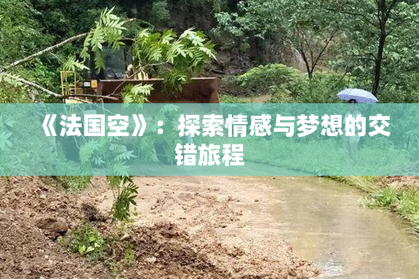 《法国空》：探索情感与梦想的交错旅程