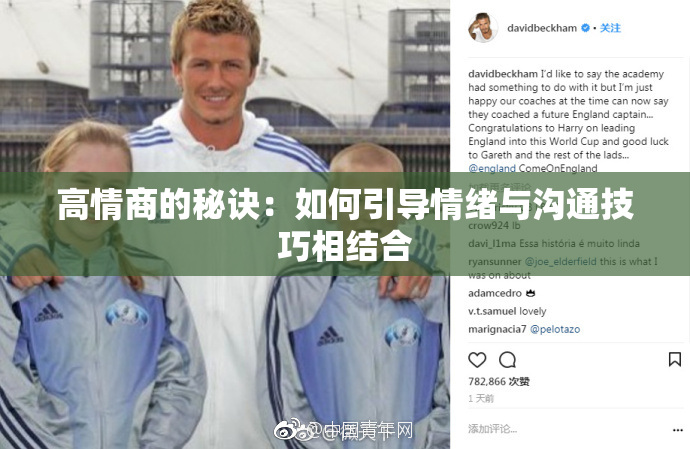 高情商的秘诀：如何引导情绪与沟通技巧相结合