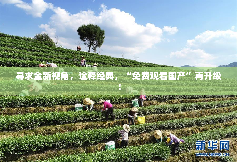 寻求全新视角，诠释经典，“免费观看国产”再升级！