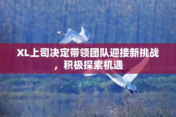 XL上司决定带领团队迎接新挑战，积极探索机遇