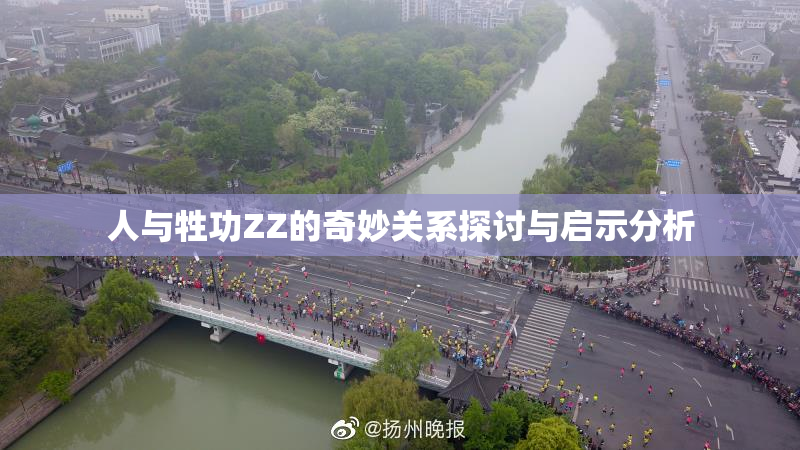人与牲功ZZ的奇妙关系探讨与启示分析
