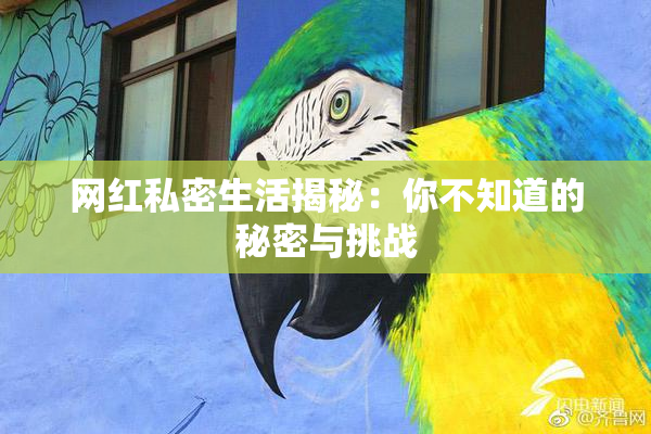 网红私密生活揭秘：你不知道的秘密与挑战