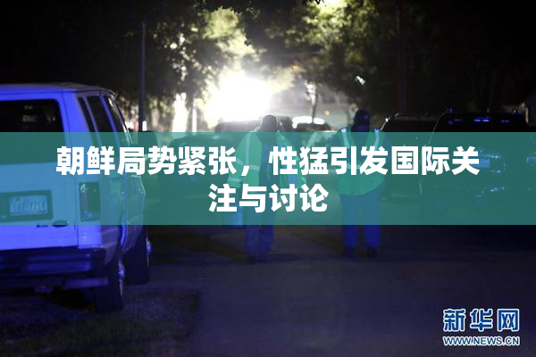 朝鲜局势紧张，性猛引发国际关注与讨论