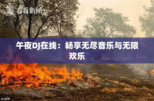 午夜DJ在线：畅享无尽音乐与无限欢乐