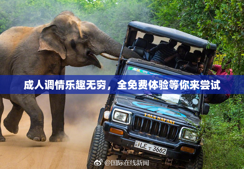成人调情乐趣无穷，全免费体验等你来尝试
