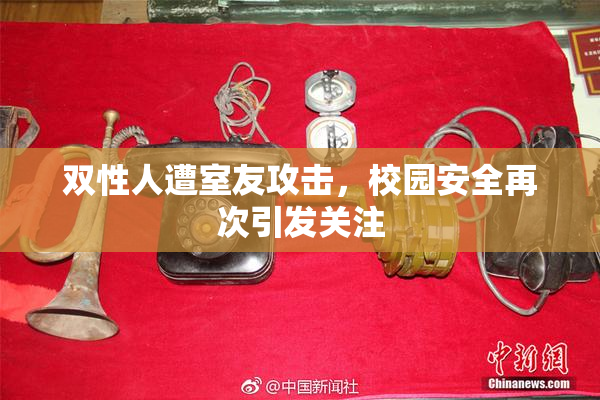 双性人遭室友攻击，校园安全再次引发关注