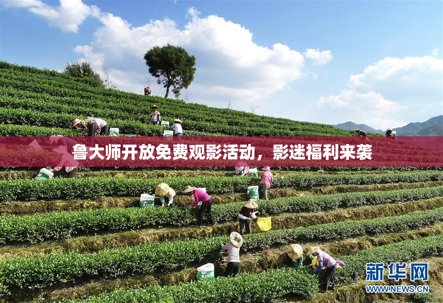 鲁大师开放免费观影活动，影迷福利来袭