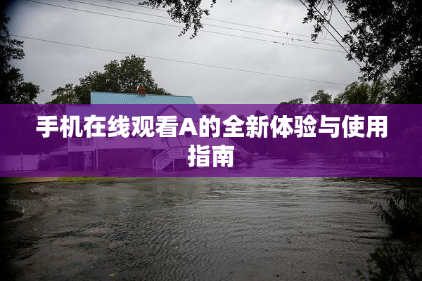 手机在线观看A的全新体验与使用指南