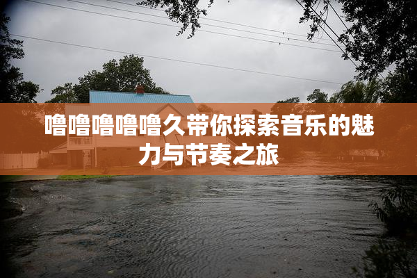 噜噜噜噜噜久带你探索音乐的魅力与节奏之旅