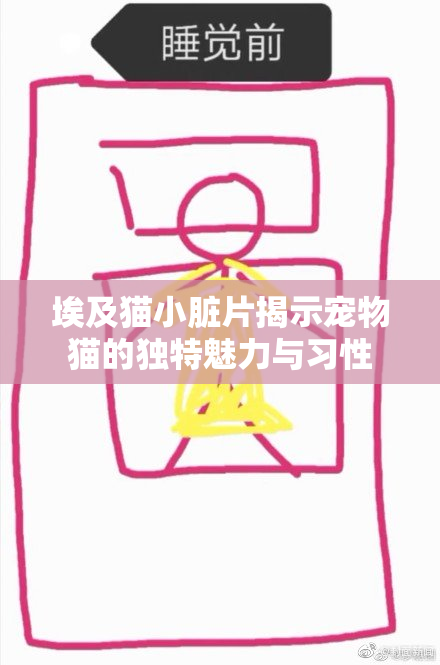 埃及猫小脏片揭示宠物猫的独特魅力与习性