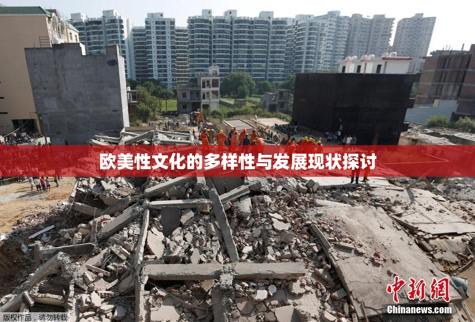 欧美性文化的多样性与发展现状探讨