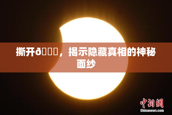 撕开👙，揭示隐藏真相的神秘面纱