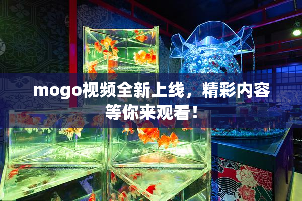 mogo视频全新上线，精彩内容等你来观看！