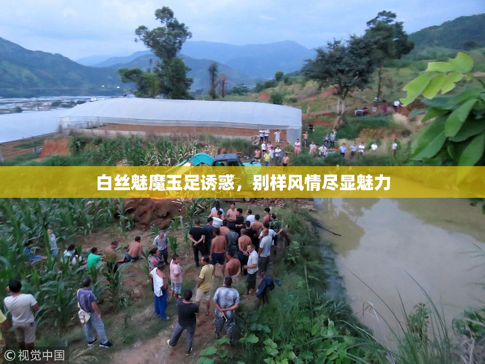白丝魅魔玉足诱惑，别样风情尽显魅力