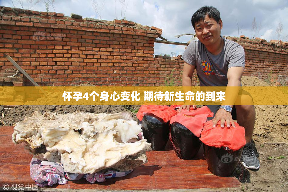 怀孕4个身心变化 期待新生命的到来