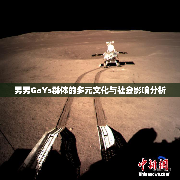男男GaYs群体的多元文化与社会影响分析