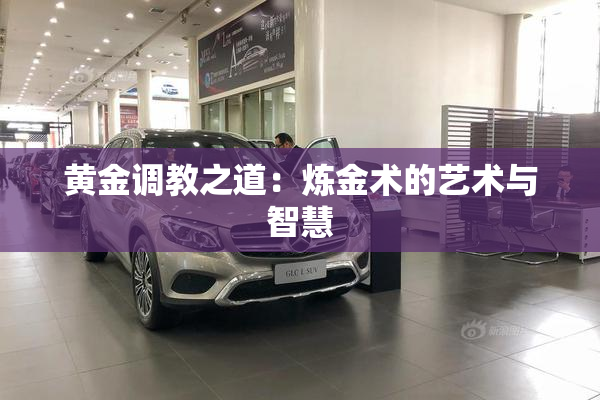 黄金调教之道：炼金术的艺术与智慧