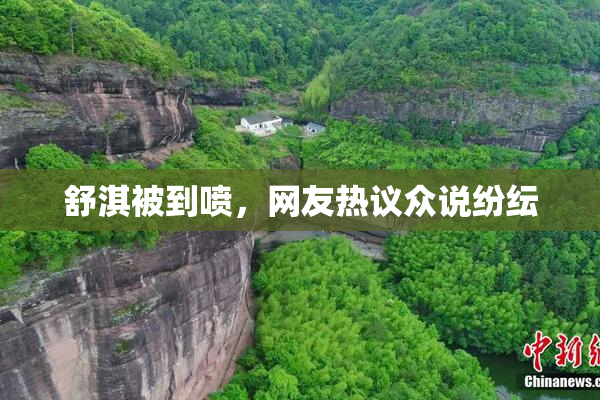 舒淇被到喷，网友热议众说纷纭