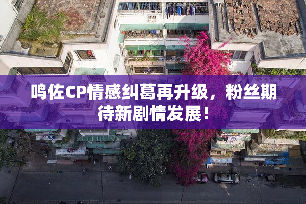 鸣佐CP情感纠葛再升级，粉丝期待新剧情发展！