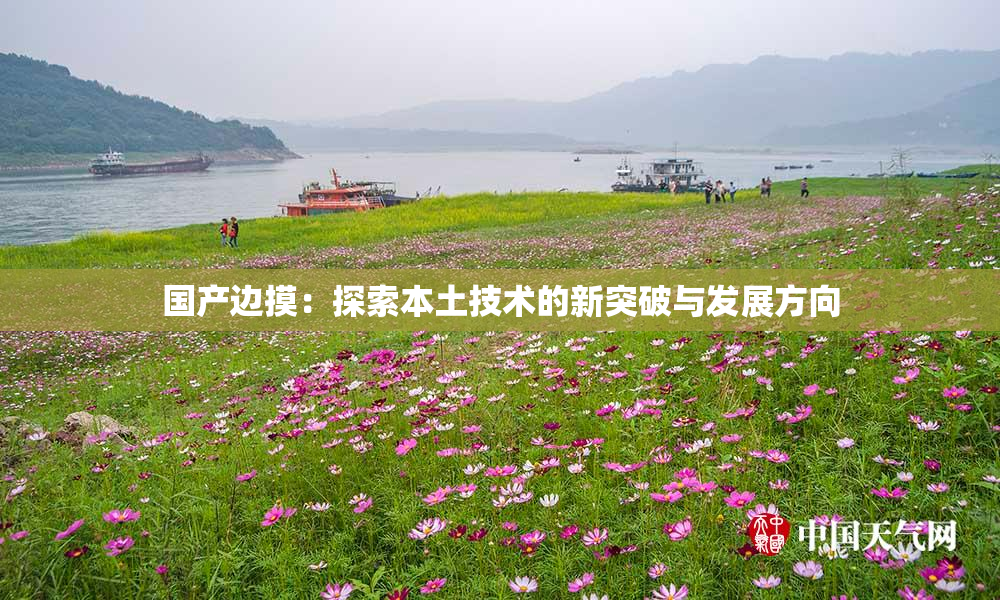 国产边摸：探索本土技术的新突破与发展方向