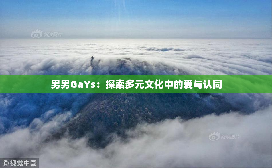 男男GaYs：探索多元文化中的爱与认同
