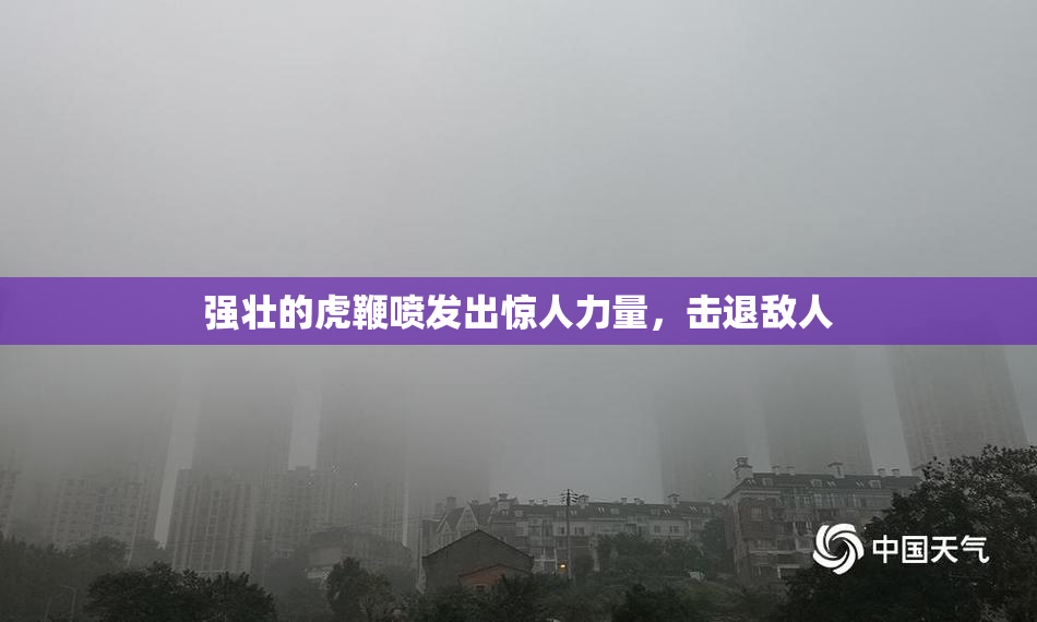 强壮的虎鞭喷发出惊人力量，击退敌人