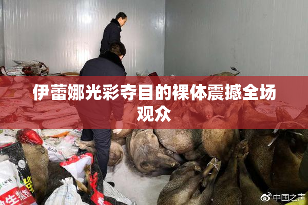 伊蕾娜光彩夺目的裸体震撼全场观众