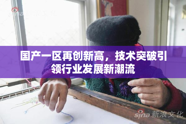 国产一区再创新高，技术突破引领行业发展新潮流